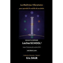 La Maîtrise Vibratoire pour...