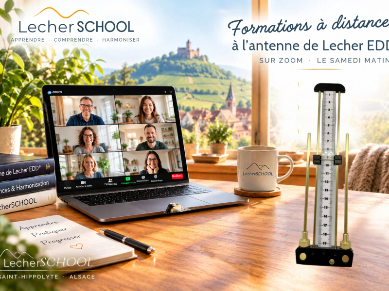 Formation antenne de Lecher sur Zoom : ce que l'on apprend chez soi